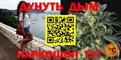 индика Балашиха