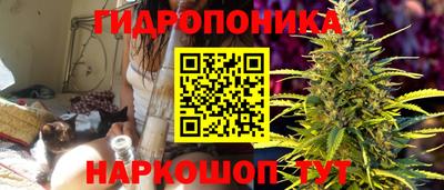 индика Балашиха